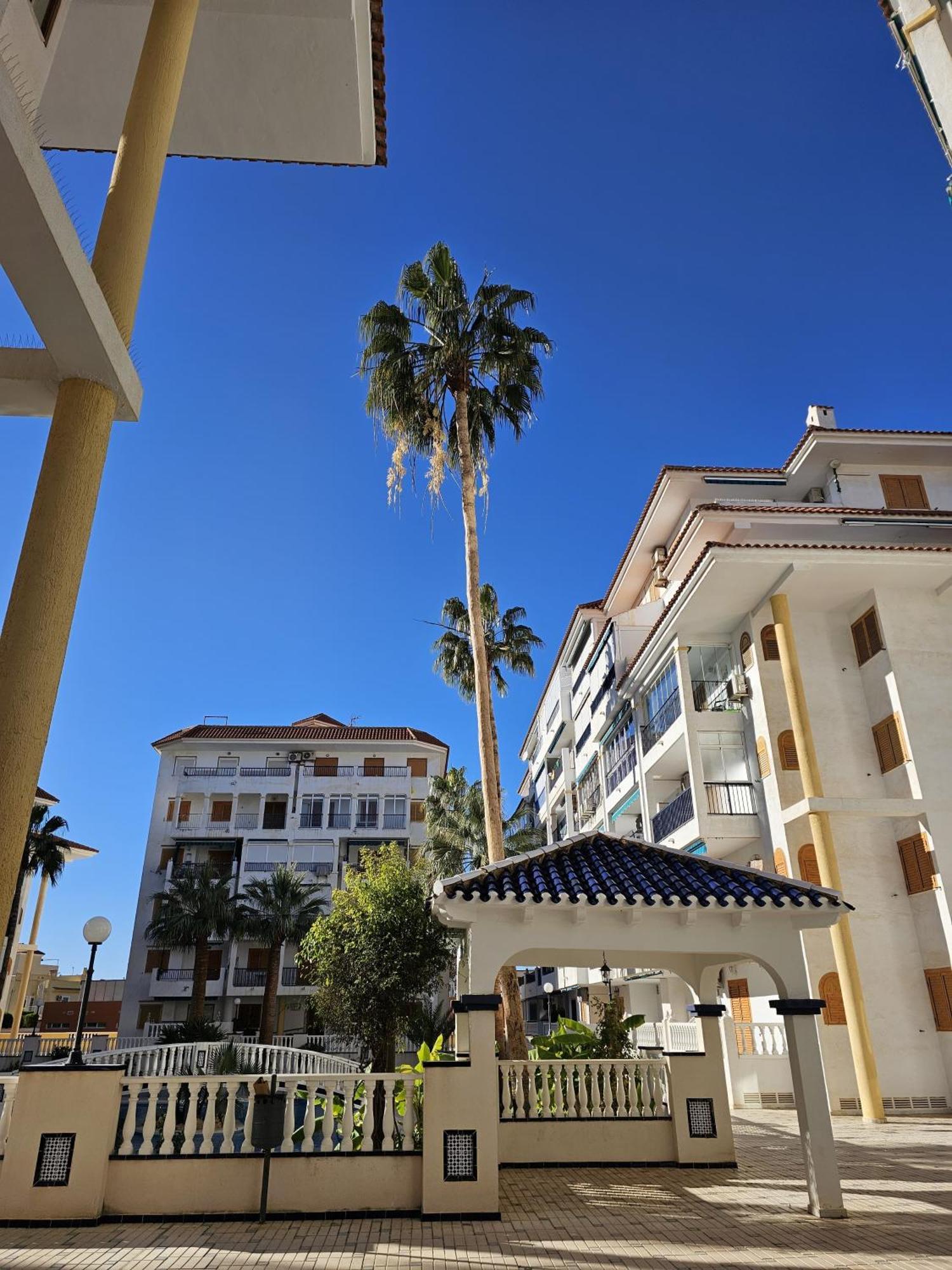 At Costa Blanca - Cozy Apartment With Pool 라 마타 외부 사진